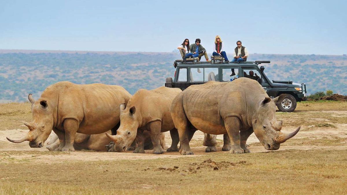 Vive la experiencia que cambiará tu vida en los safaris que ofrece África.&nbsp;