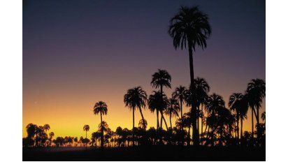 Una melodía de la naturaleza