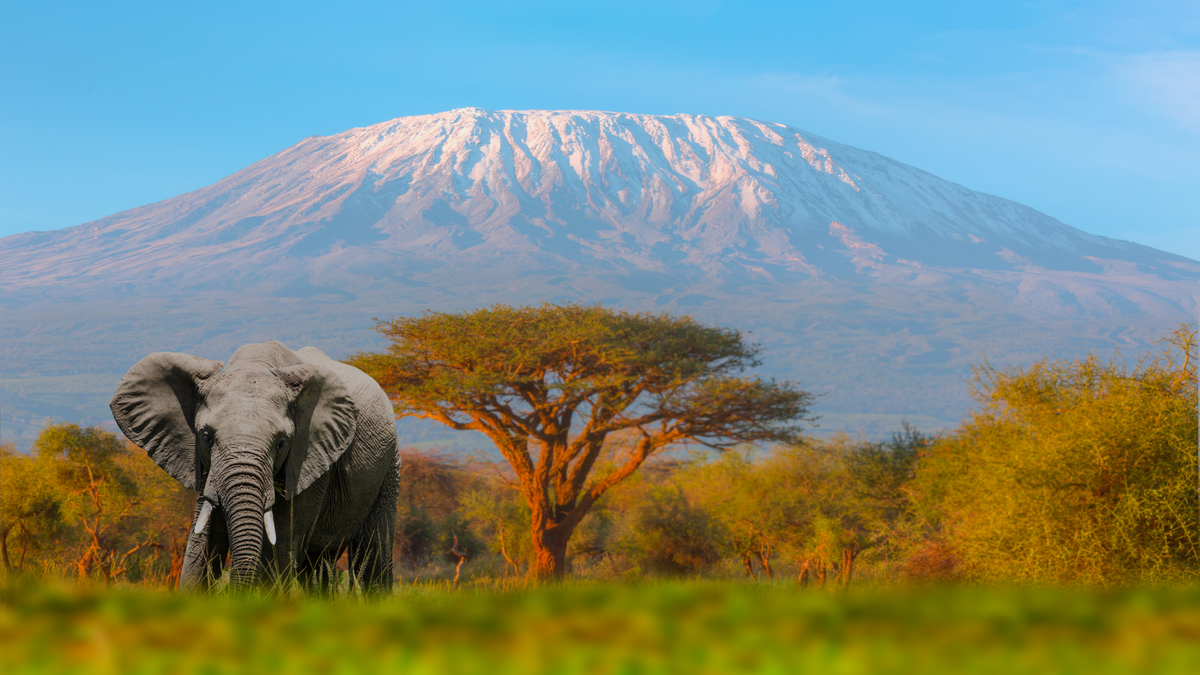 Vacaciones en África: desde el Parque Nacional Amboseli en Kenia se puede obtener una de las vistas más espectaculares y clásicas del monte Kilimanjaro.