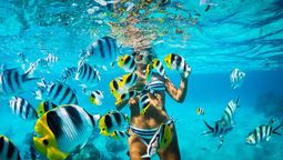 Vacaciones en Punta Cana: República Dominicana tiene muchas excursiones atractivas para disfrutar.&nbsp;