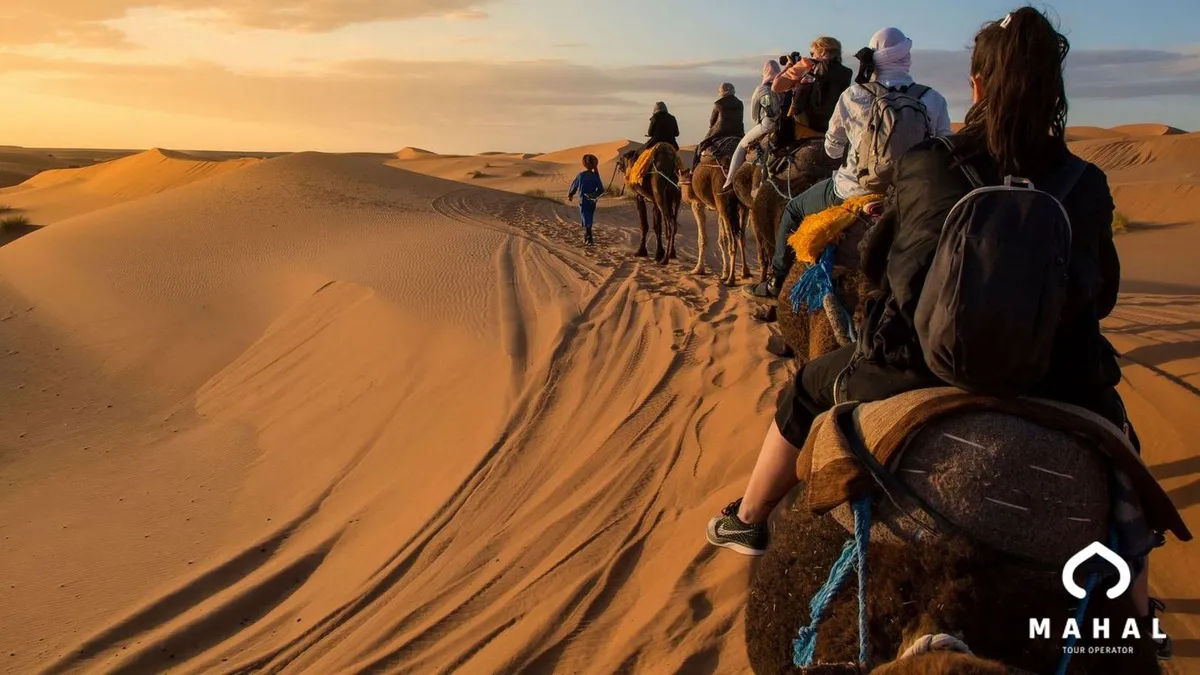 Destinos únicos con la experiencia y el respaldo de Mahal Tour Operator.