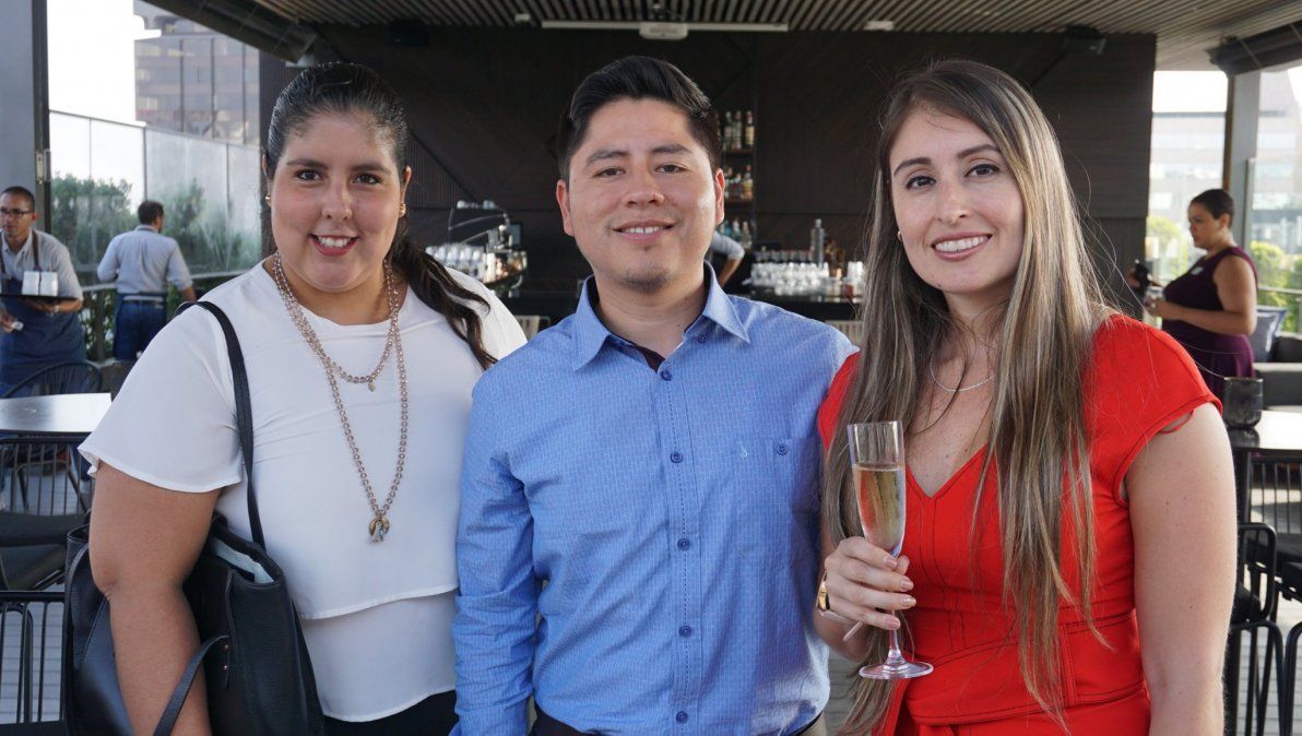 - Ladevi Medios y Soluciones