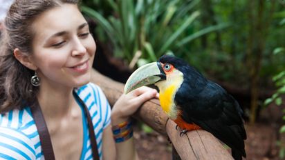 Cataratas: 5 razones para visitar Foz de Iguazú