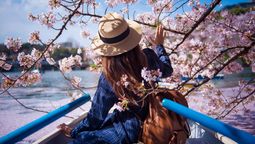 altText(Vacaciones soñadas en Asia: descubrí Corea y Japón entre templos, tradiciones y flores de cerezo)}