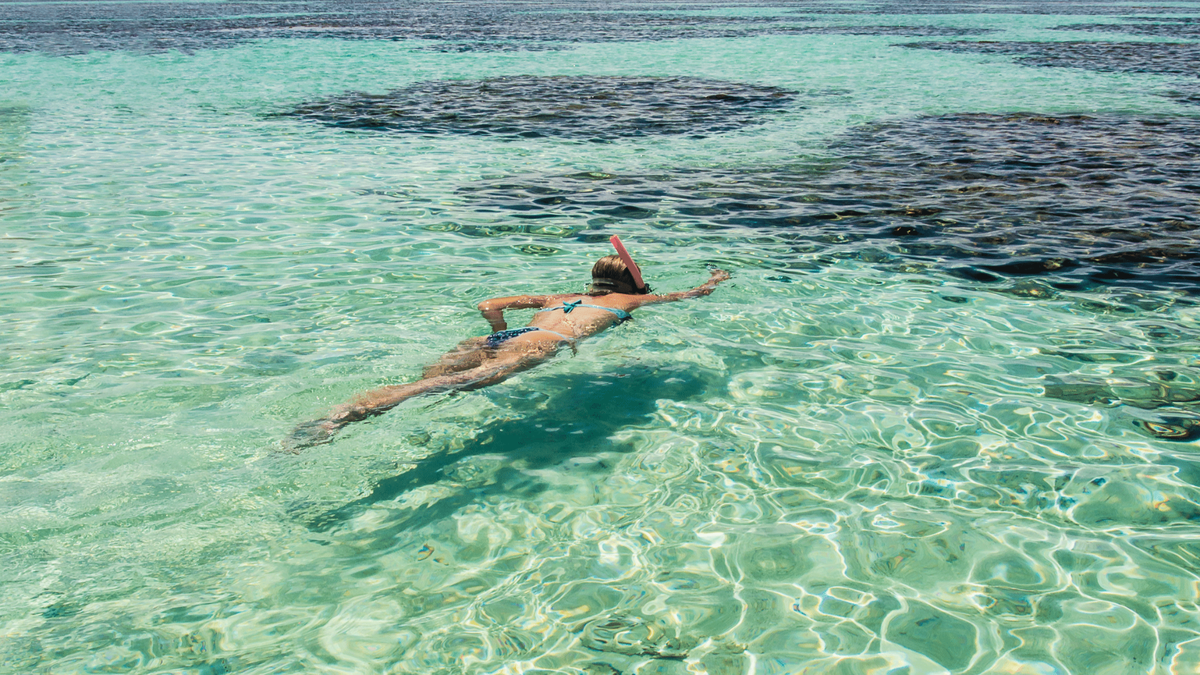 Verano 2026/27: Maragogi es un destino de temporada que fascina con sus piscinas naturales.