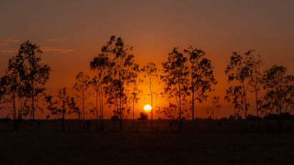Vichada hace parte de los departamentos de Colombia y es conocido por ser un destino remoto y fascinante donde la naturaleza ofrece aventuras inolvidables.