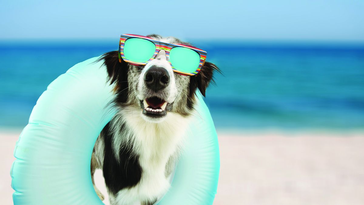 Manual Islas y Playas: toda la información que el agente de viajes necesita para vender el producto.