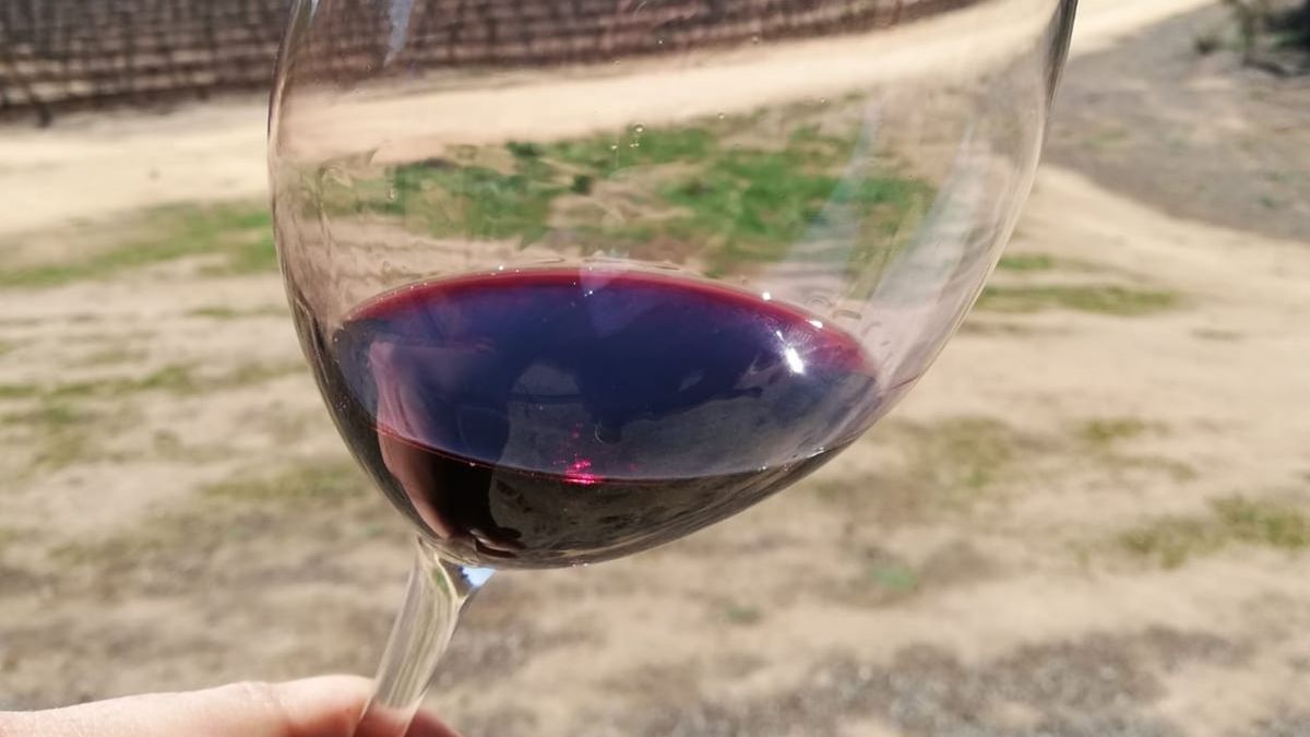 Semana Santa 2022 coincide con la celebración{on del Dia del Malbec.