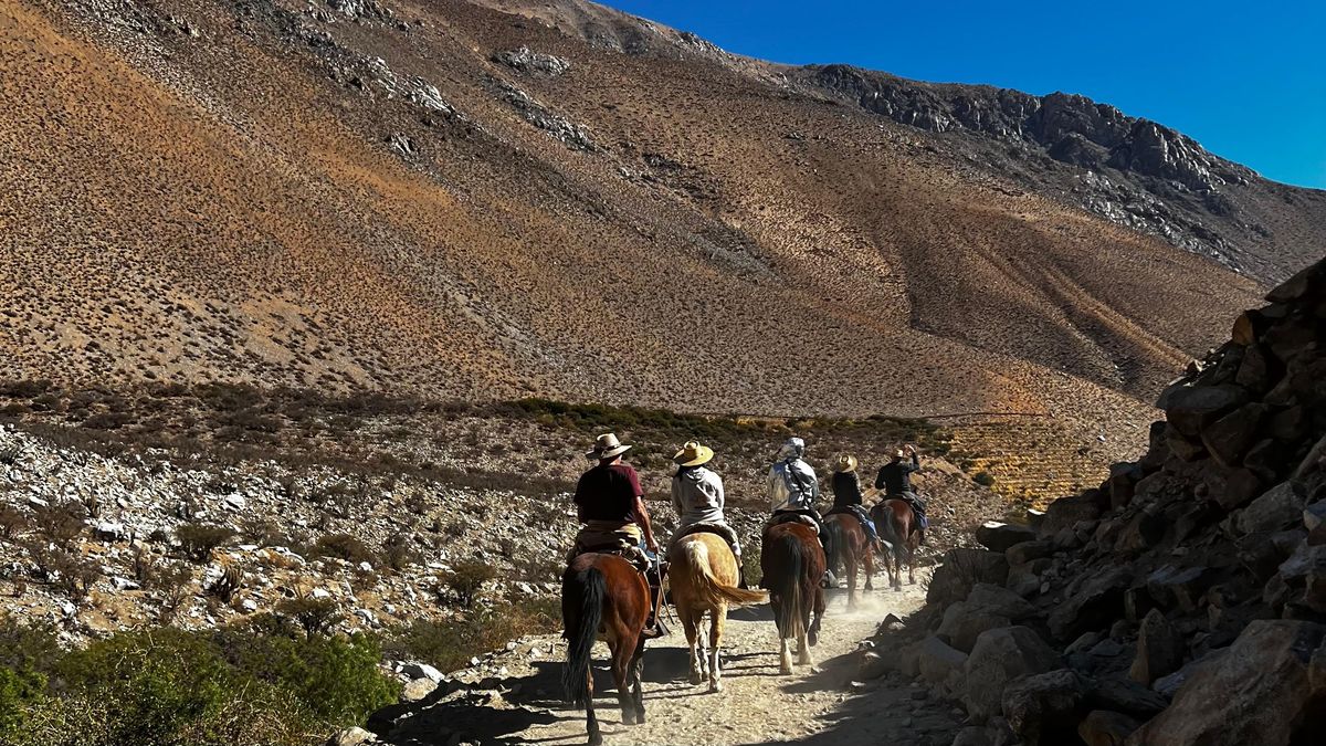 Región de Coquimbo: Valle del Elqui promedió un 68% de ocupación hotelera en el verano 2024/2025.