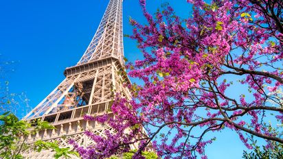 Turistea Mayorista de Turismo promueve circuitos multidestino todo incluido hacia Europa y destinos exóticos. &nbsp;