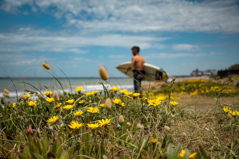 Verano: las playas de Quequén son muy elegidas por los amantes del surf ya que cuenta con un oleaje perfecto para la práctica de esta popular actividad. Verano: las playas de Quequén son muy elegidas por los amantes del surf ya que cuenta con un oleaje perfecto para la práctica de esta popular actividad.