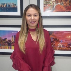 - Ladevi Medios y Soluciones