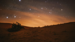 altText(Escapadas: el asombroso bosque perdido en el desierto a menos de 2 horas de la ciudad de Mendoza)}