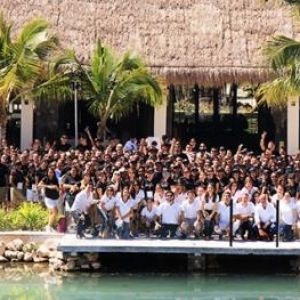- Ladevi Medios y Soluciones