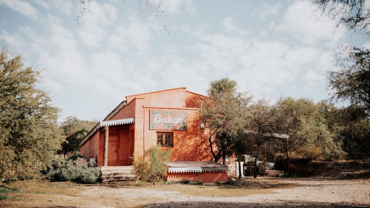 Escapadas a Córdoba: Con la llegada de la temporada baja, La Matilda presenta promociones especiales para descubrir el destino desde una perspectiva diferente. 