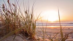 altText(Escapadas en verano: 2 playas secretas y paradisíacas para descubrir en la Provincia de Buenos Aires)}