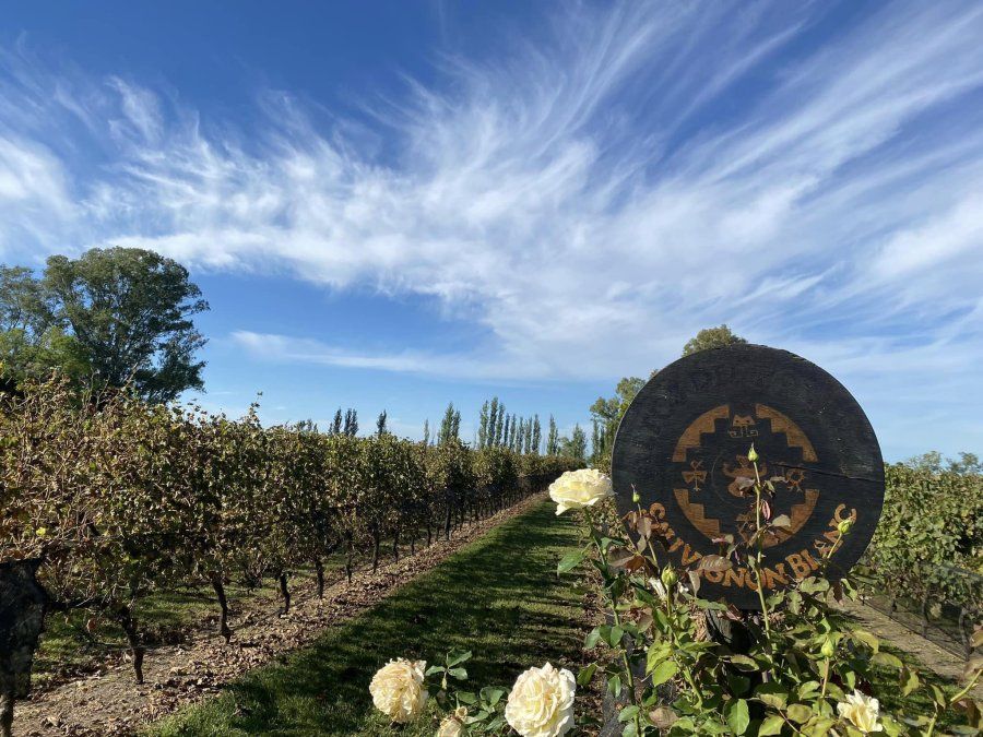 Entre Ríos: la Bodega Ianni invita a degustar una interesante variedad de vinos.