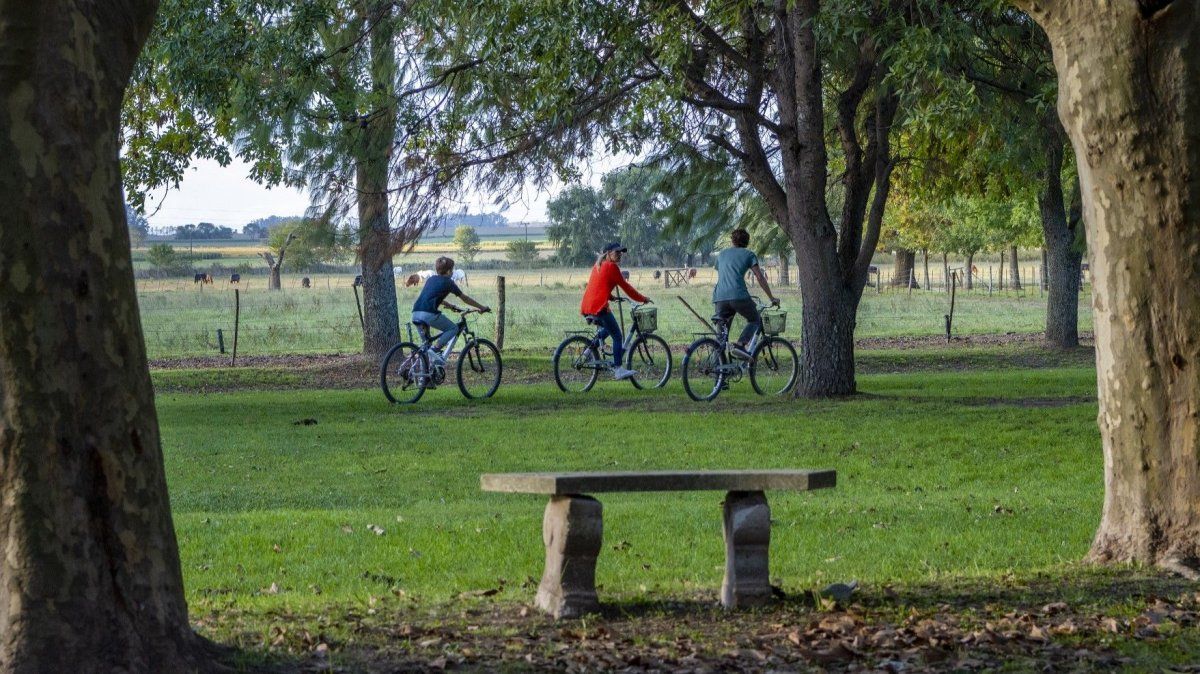 San Antonio de Areco cuenta con varias propuestas divertidas para niños. Conocelas en la nota. San Antonio de Areco cuenta con varias propuestas divertidas para niños. Conocelas en la nota.