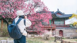 Corea del Sur reúne ciudades donde la historia milenaria convive con la innovación y la cultura contemporánea..