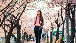 altText(5 tips para un K-pop tour inolvidable en Corea del Sur viajando desde México)}