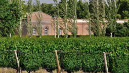 altText(Mendoza: 3 bodegas imperdibles en San Rafael)}