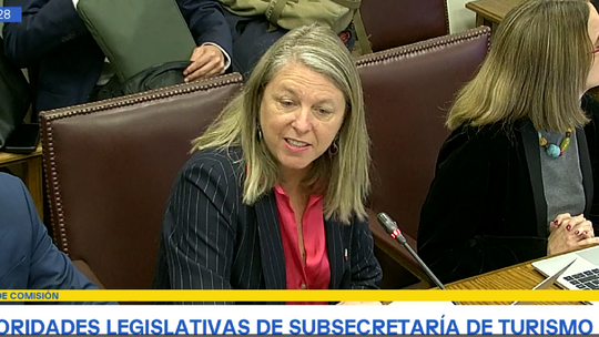 Subsecretaría de Turismo: María Paz Lagos expuso frente a la Comisión de Economía del Senado.