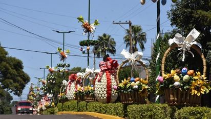 Misiones: actividades ideales para elegir esta Semana Santa 2024
