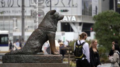 Descubre los mejores monumentos a animales para recorrer el mundo