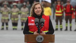 Aida Baldini, ex directora de Conaf.