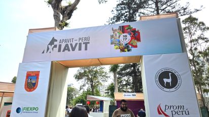 Apavit: Fiavit generó S/ 15 millones de soles en compromisos de negociación