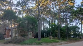 Escapadas en Buenos Aires: Mar Azul es la conjunción perfecta de bosque y mar y un destino muy solicitado.