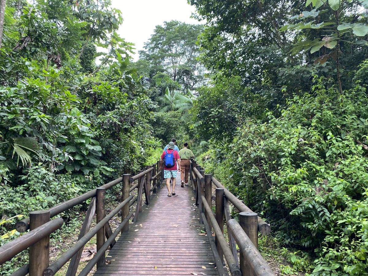 Escapadas a Bahía Solano: 5 lugares que debes conocer