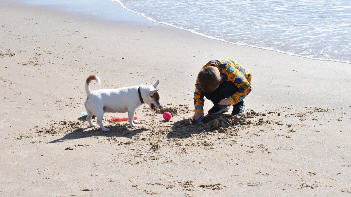 Las escapadas a la Costa Atlántica con mascotas son una buena opción cerca de Buenos Aires.
