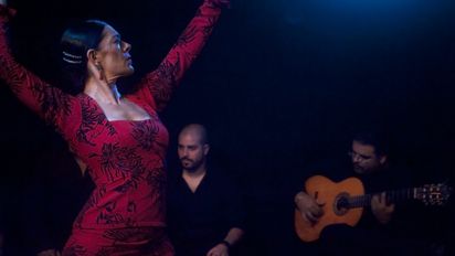 El protagonismo será para la identidad cultural y artística de Andalucía, así como transmitir a los asistentes la imagen amable, alegre y desenfadada de una típica feria andaluza.