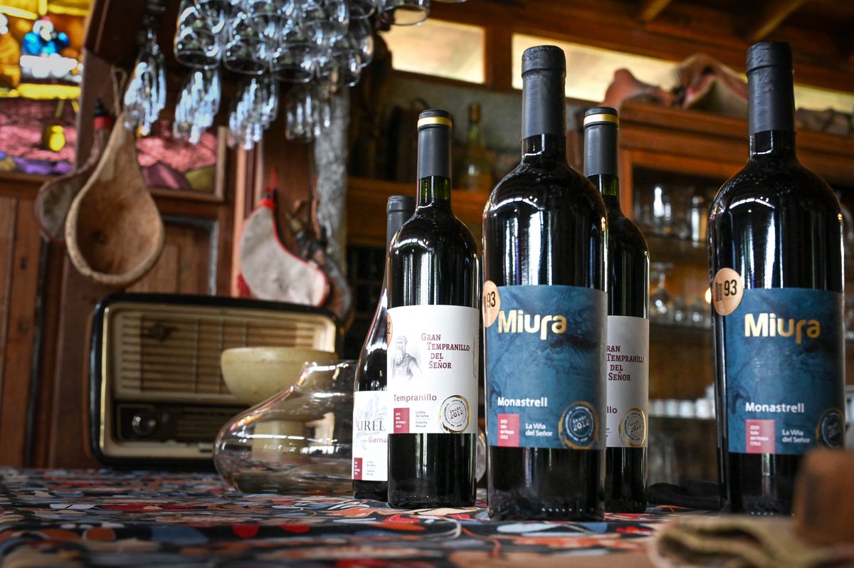 La Viña del Señor ofrece diferentes vinos de cepas españolas. 