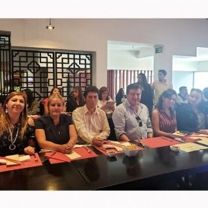 - Ladevi Medios y Soluciones