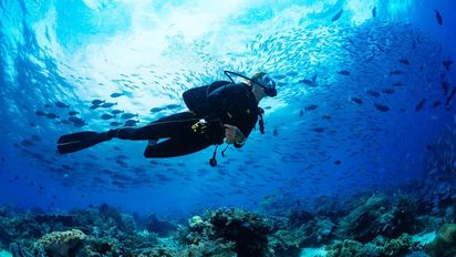 Tres destinos increíbles para hacer buceo en Colombia