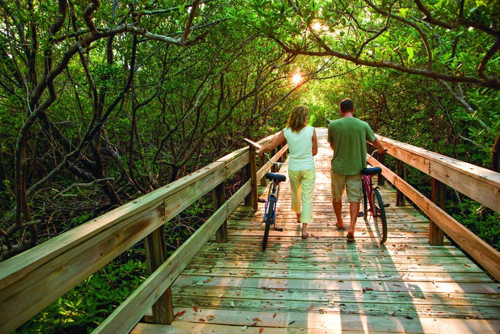 Pasear en bicicleta por Sanibel es un gran plan diurno.