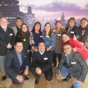 - Ladevi Medios y Soluciones
