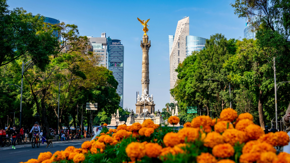 Descubre los atractivos y experiencias imperdibles de las sedes del Mundial en México.