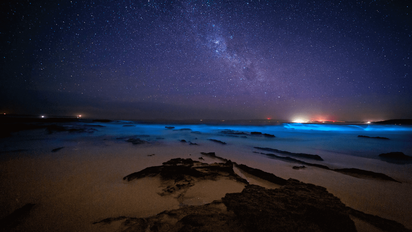 Descubre algunas de las playas de México ideales para ver estrellas.