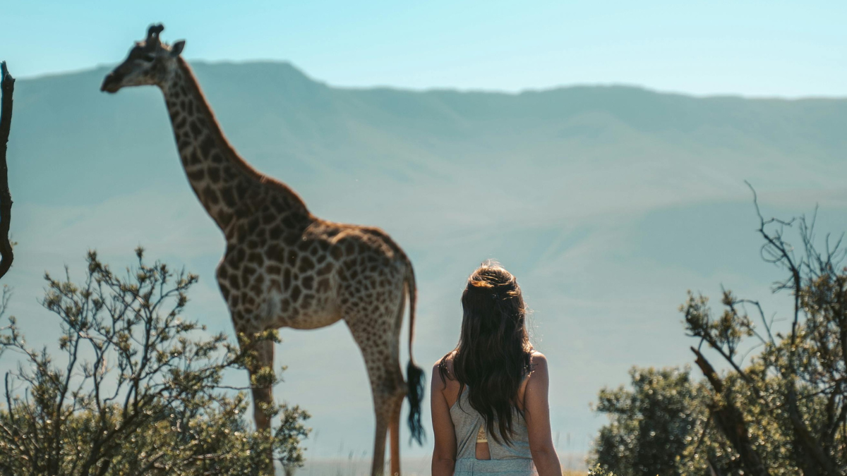 5 tipos de safaris que puedes vivir en África, image size:1200x675