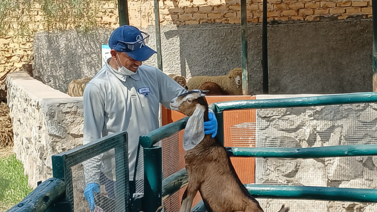 Colaboradores de Decameron apoyan la conservación de especies y ecosistemas en el Concurso de Biodiversidad 2025.