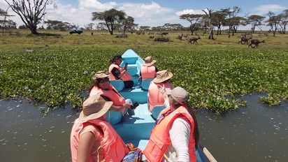 King Midas ofrece un imperdible safari en Kenia, donde los viajeros observan a escasos metros animales salvajes.