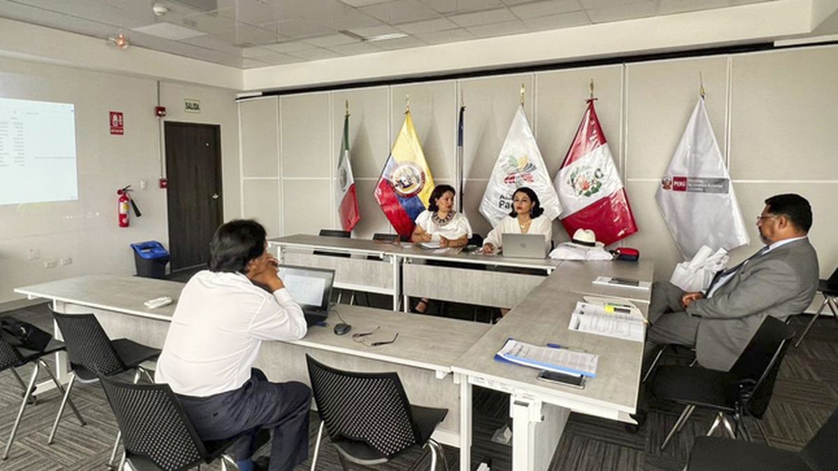 Perú y Ecuador intercambian conocimientos sobre la explotación a menores en el sector. - Ladevi Medios y Soluciones Perú y Ecuador intercambian conocimientos sobre la explotación a menores en el sector.
