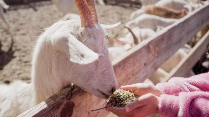 Salta: 3 propuestas para hacer en Cafayate con niños