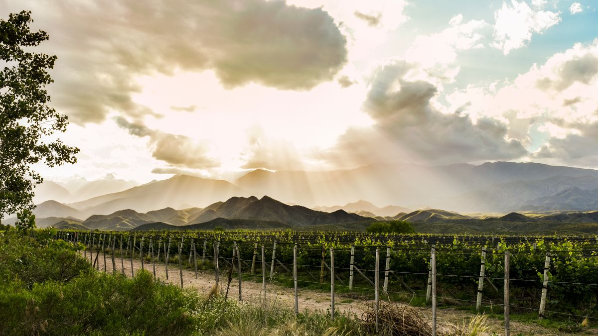 Conocé el pueblo de Mendoza con viñedos y hermosos paisajes cordilleranos que es ideal para el verano.&nbsp;