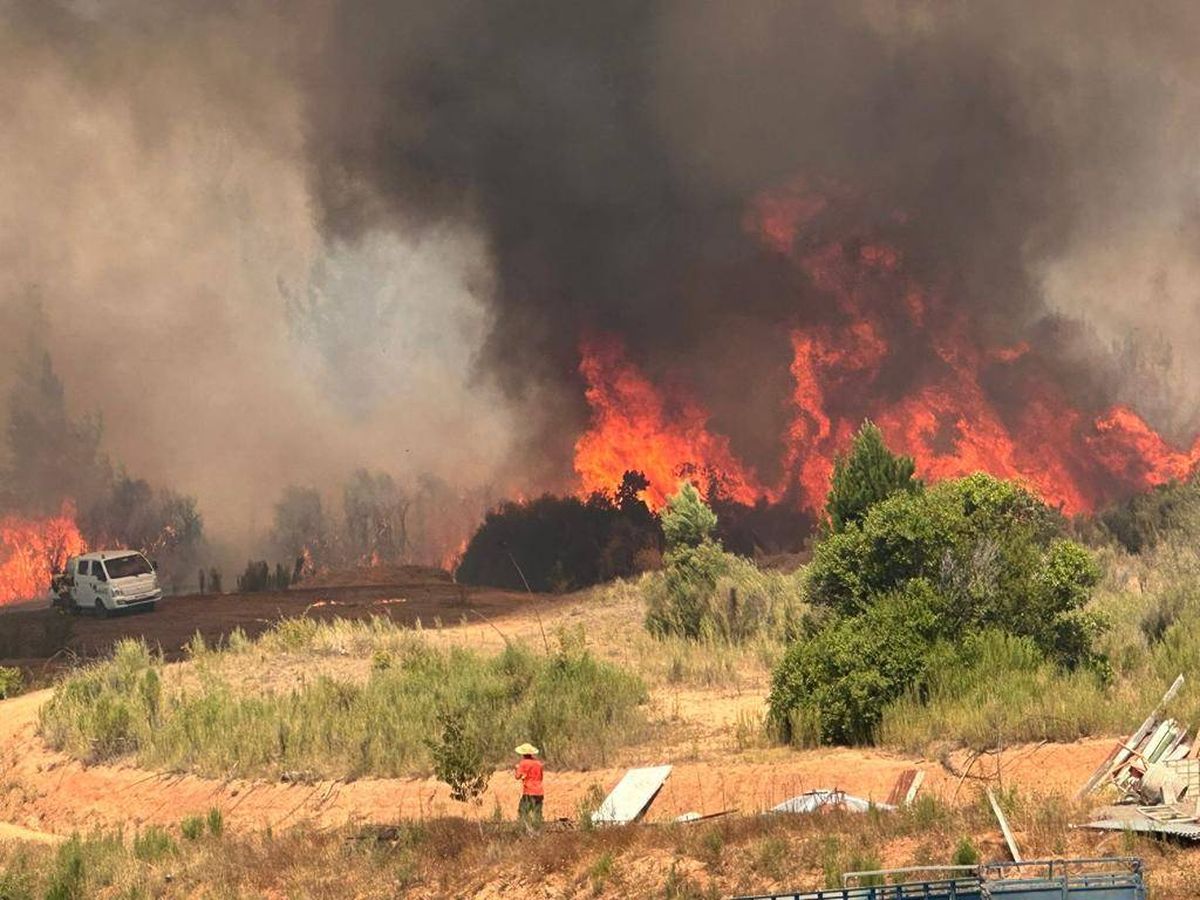 La ley de incendios fue despachada por la Cámara de Diputados al Senado. - Ladevi Medios y Soluciones La ley de incendios fue despachada por la Cámara de Diputados al Senado.