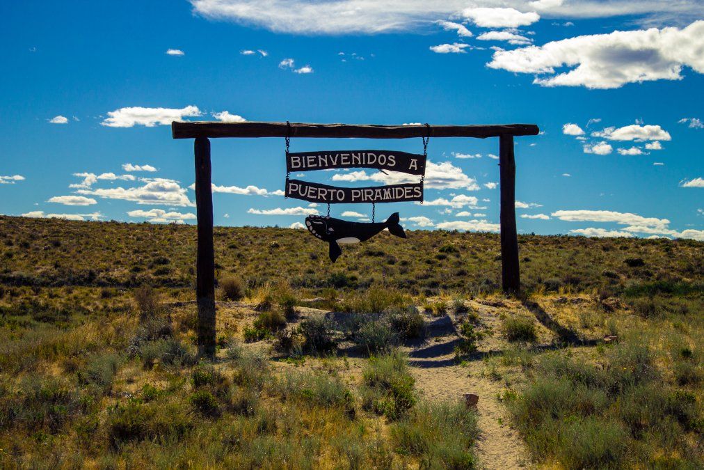 Para llegar a Puerto Pirámides se puede viajar tanto en auto como en micro desde Puerto Madryn o Trelew.