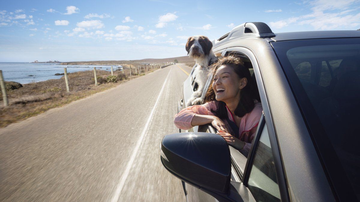 Visit California es una opción segura, accesible y adaptable a distintis tipos de viajes e intereses. 